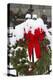 Christmas wreaths and a rare holiday snow, Huntsville, Alabama-William Sutton-Premier Image Canvas