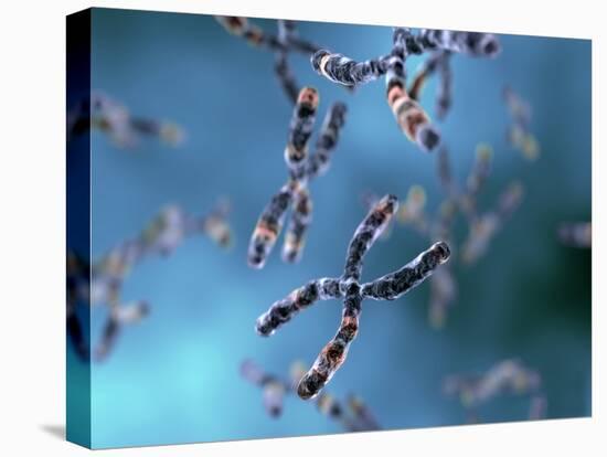 Chromosomes-Equinox Graphics-Premier Image Canvas