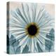 Chrysanthemum Close-Up-Albert Koetsier-Stretched Canvas