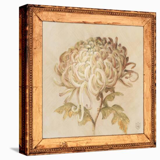 Chrysanthemum Floret Detail-Lauren Hamilton-Stretched Canvas