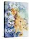 Chrysanthemum, White and Apricot-Karen Armitage-Premier Image Canvas