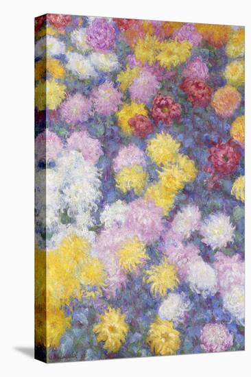 Chrysanthemums, 1897-Claude Monet-Premier Image Canvas