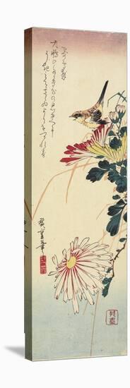 Chrysanthemums and a Shrike, 1830-1858-Utagawa Hiroshige-Premier Image Canvas