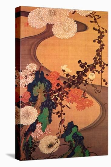 Chrysanthemums by a Stream with Rocks-Jakuchu Ito-Premier Image Canvas