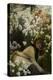 Chrysanthemums, C.1874-76 (Oil on Canvas)-James Jacques Joseph Tissot-Premier Image Canvas