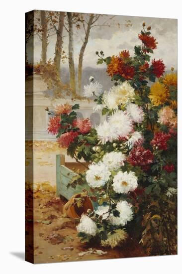 Chrysanthemums in a Walled Garden-Eugene Henri Cauchois-Premier Image Canvas