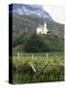 Church and Vines at Missiano, Caldero Wine District, Bolzano, Alto Adige, Italy-Michael Newton-Premier Image Canvas