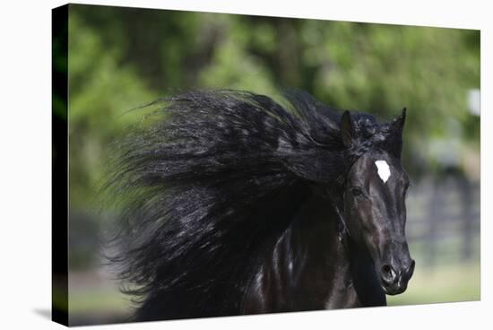 Church Farm UK 002-Bob Langrish-Premier Image Canvas