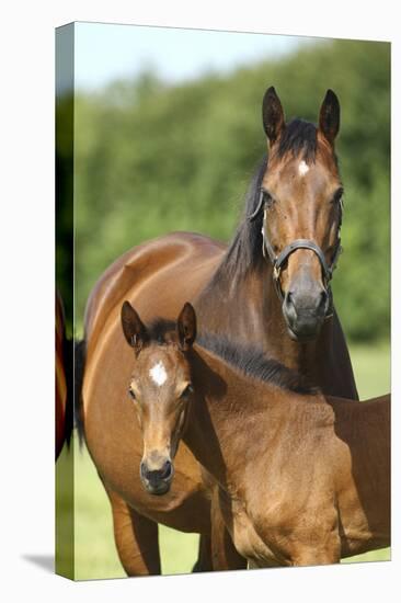 Church Farm UK 004-Bob Langrish-Premier Image Canvas