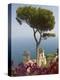 Church in Ravello-Peter Adams-Premier Image Canvas