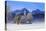 Church of St. Coloman and Tannheimer Alps near Schwangau, Allgau, Bavaria, Germany, Europe-Hans-Peter Merten-Premier Image Canvas