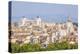 Churches and Domes of the Rome Skyline Showing Victor Emmanuel Ii Monument in the Distance, Rome-Neale Clark-Premier Image Canvas