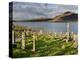 Churchyard, Achill Island, Off the Coast of County Mayo, Republic of Ireland, Europe-David Wogan-Premier Image Canvas