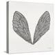 Cicada Wings in Black Ink-Cat Coquillette-Premier Image Canvas