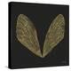 Cicada Wings in Gold Ink on Black-Cat Coquillette-Premier Image Canvas