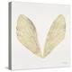 Cicada Wings in Gold Ink-Cat Coquillette-Premier Image Canvas