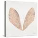 Cicada Wings in Rose Gold Ink-Cat Coquillette-Premier Image Canvas