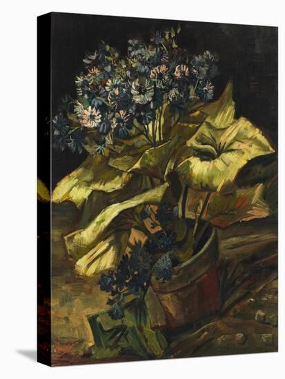 Cineraria Asters in a Pot-Vincent van Gogh-Premier Image Canvas