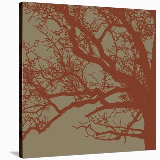 Cinnamon Tree III-Erin Clark-Stretched Canvas