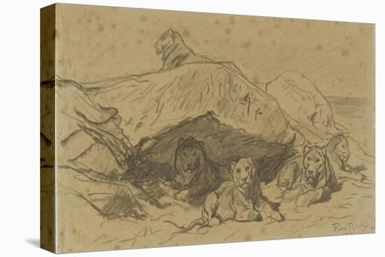 Cinq lions ou lionnes dans les rochers-Rosa Bonheur-Premier Image Canvas