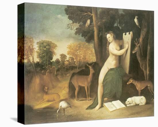 Circe And Her Lovers In A Landscape-Dosso Dossi-Stretched Canvas