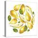 Circle of Yellow Pears-Maria Mirnaya-Stretched Canvas