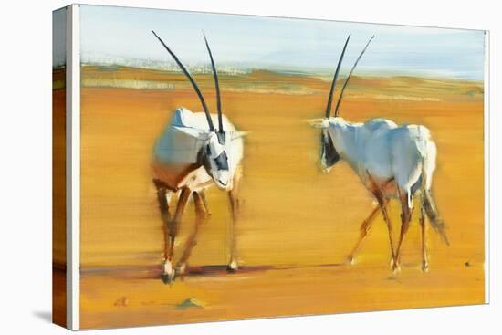 Circling Arabian Oryx, 2010-Mark Adlington-Premier Image Canvas