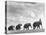 Circus Elephants Walking in Line-Cornell Capa-Premier Image Canvas