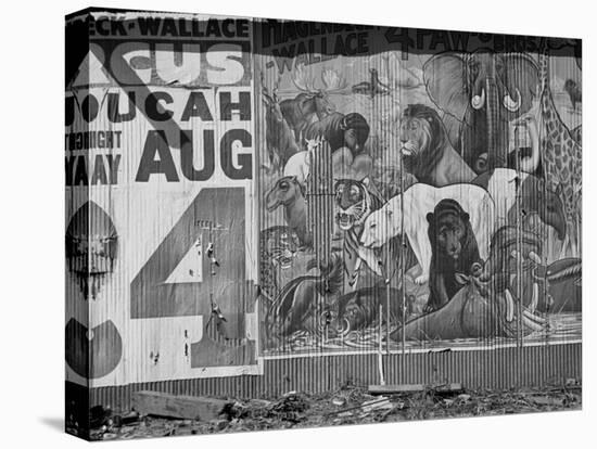 Circus Poster, Smithland, Kentucky, c.1935-Ben Shahn-Stretched Canvas