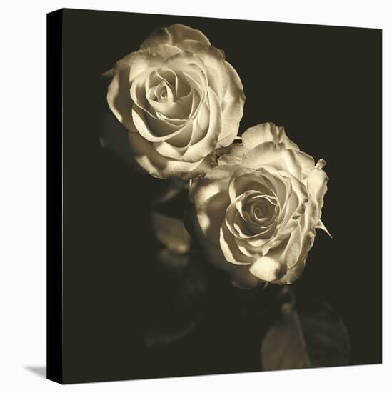 Circus Roses-Michael Harrison-Stretched Canvas