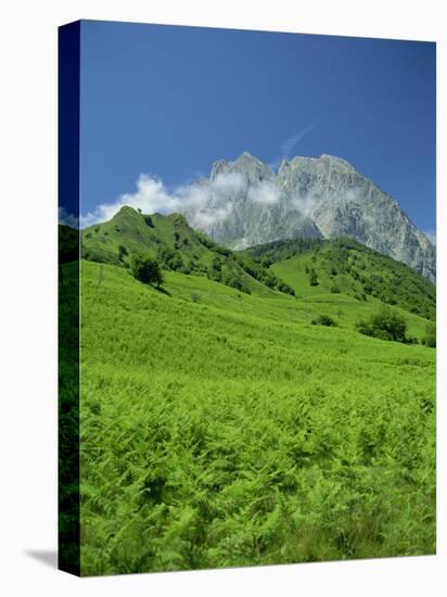 Cirque De Lescun, Le Billare, Pyrenees, Bearn, Aquitaine, France, Europe-David Hughes-Premier Image Canvas