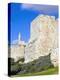 Citadel (Tower of David), Old City Walls, UNESCO World Heritage Site, Jerusalem, Israel-Gavin Hellier-Premier Image Canvas