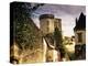 Cite Medievale (Castle District), Loches, Indre-Et-Loire, Loire Valley, Centre, France-David Hughes-Premier Image Canvas