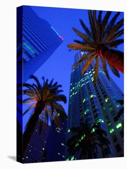 Citibank Center and Palm Trees from Below, Los Angeles, United States of America-Richard Cummins-Premier Image Canvas