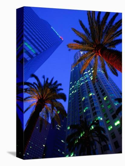 Citibank Center and Palm Trees from Below, Los Angeles, United States of America-Richard Cummins-Premier Image Canvas