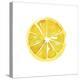 Citrus Slice-Kristine Hegre-Stretched Canvas