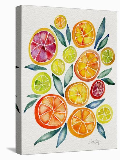 Citrus Slices-Cat Coquillette-Premier Image Canvas