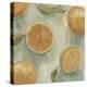 Citrus Study in Oil II-Emma Scarvey-Stretched Canvas