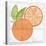 Citrus Tile V-Elyse DeNeige-Stretched Canvas