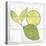 Citrus Tile VII-Elyse DeNeige-Stretched Canvas