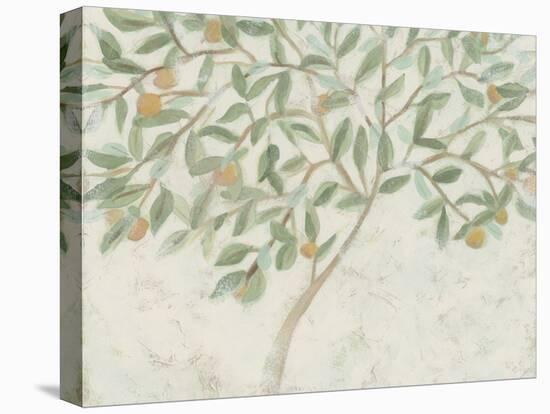 Citrus Tree Fresco I-June Vess-Stretched Canvas