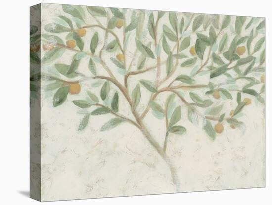 Citrus Tree Fresco II-June Vess-Stretched Canvas