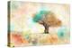 Citrus Tree-Ynon Mabat-Stretched Canvas