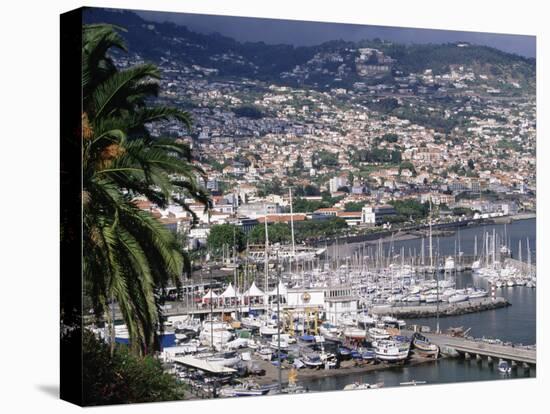 City and Marina, Funchal, Madeira, Portugal-Walter Bibikow-Premier Image Canvas