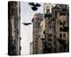 City in Flight-Pete Kelly-Stretched Canvas