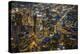 City lit up at night, City Of Los Angeles, Los Angeles County, California, USA-Panoramic Images-Premier Image Canvas