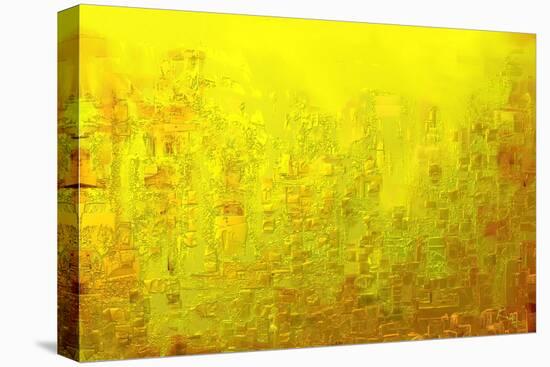 City of Joy 2013-Rabi Khan-Stretched Canvas