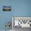 City of Quito Seen from the Pichincha Volcano, Quito, Ecuador, South America-Matthew Williams-Ellis-Premier Image Canvas displayed on a wall