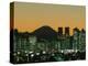 City Skyline and Mount Fuji, Night View, Tokyo, Honshu, Japan-Steve Vidler-Premier Image Canvas