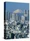 City Skyline and Mount Fuji, Tokyo, Honshu, Japan-Steve Vidler-Premier Image Canvas